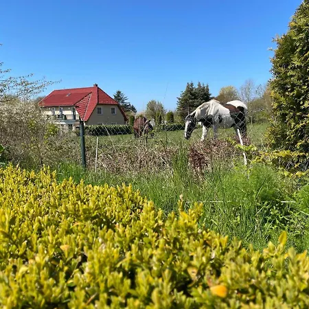 Dat-klinkerhus-auf-ruegen-xxl-urlaubsparadies-nahe-ostseestrand-nationalpark-fuer-17-gaeste