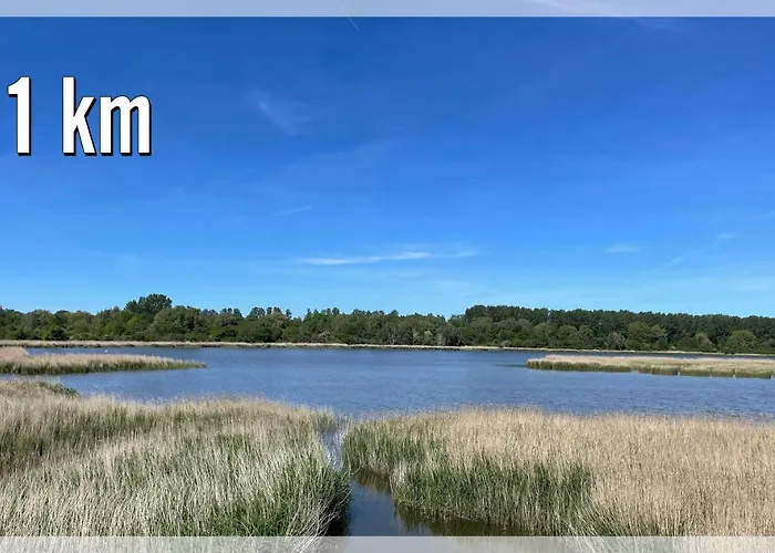 بيت للعطل Dat-klinkerhus-auf-ruegen-xxl-urlaubsparadies-nahe-ostseestrand-nationalpark-fuer-17-gaeste غلوفي